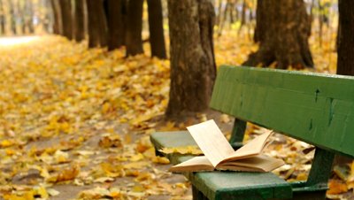 stock-footage-open-book-on-the-bench-in-autumn-park